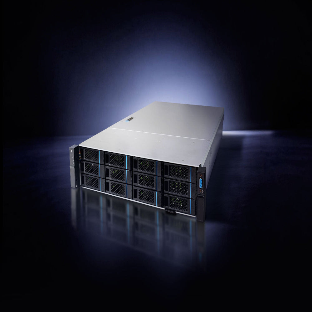 RS-F1SG2042 RISC-V Server