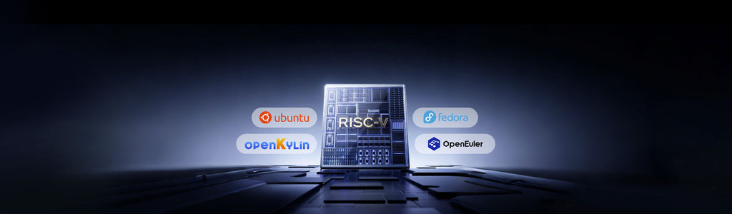 RS-F1SG2042 RISC-V Server