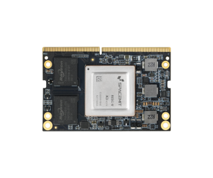 RISC-V Series