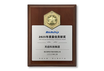 Rockchip Annual Best Contribution Award