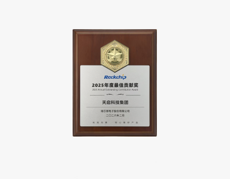 Rockchip Annual Best Contribution Award
